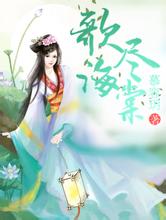 2004新澳门天天开好彩多花木兰